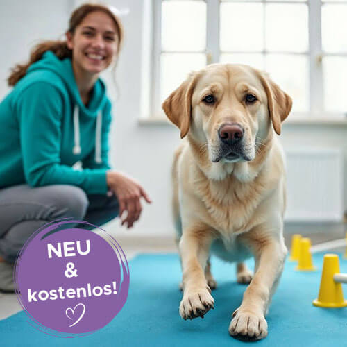 SHYVA Hundezentrum | Gangbildanalyse