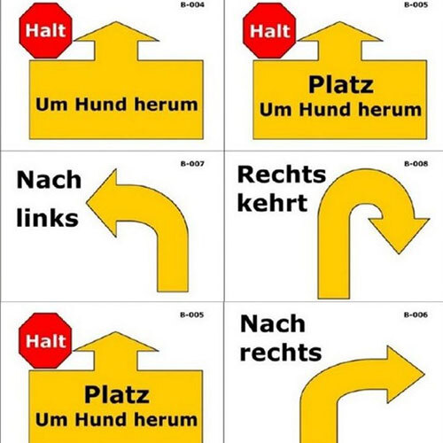 Einsteigerkurs - Rally Obedience