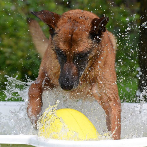 Kurs - Reiß Dich zusammen