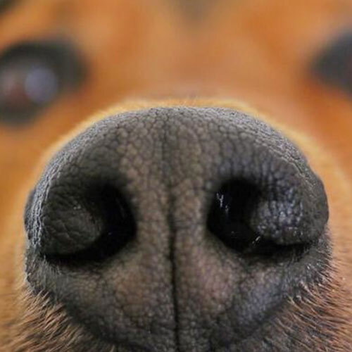 Einsteigerkurs - Schatzsuche