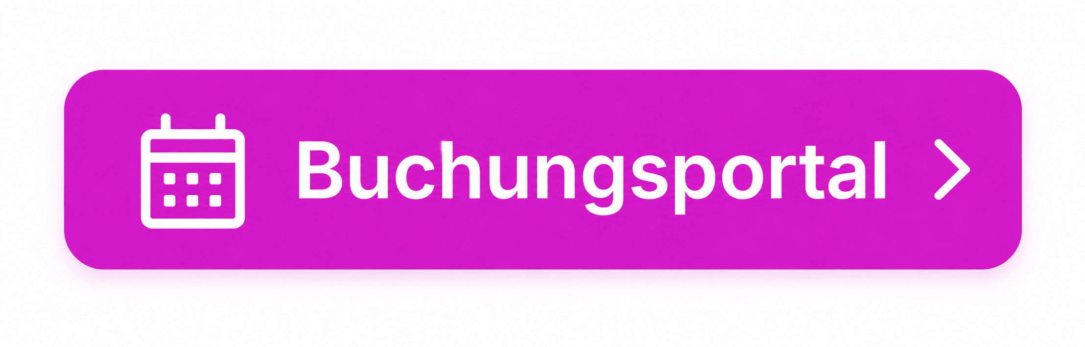 SHYVA Hundeschule Kurse Gruppen Buchungsportal
