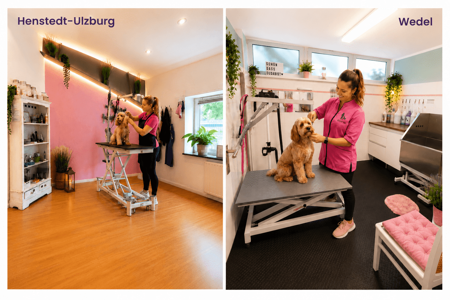 SHYVA Friseur Groomer