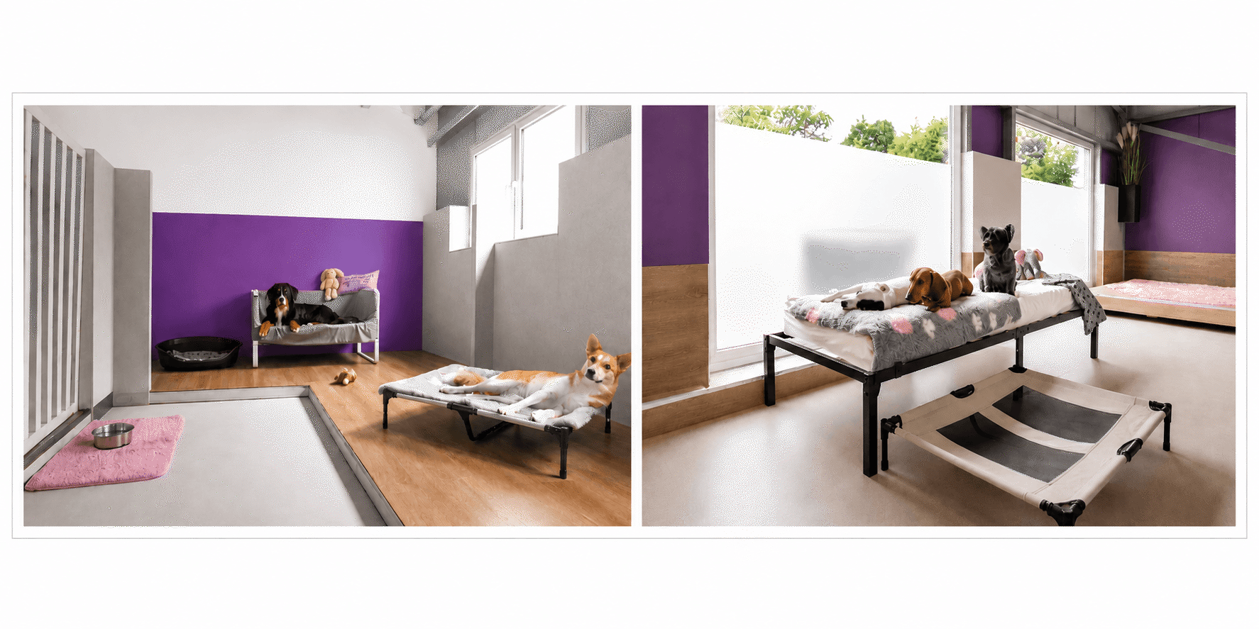 SHYA Zimmer HOTEL
