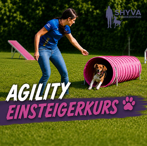 SHYVA Hundeschule Agility