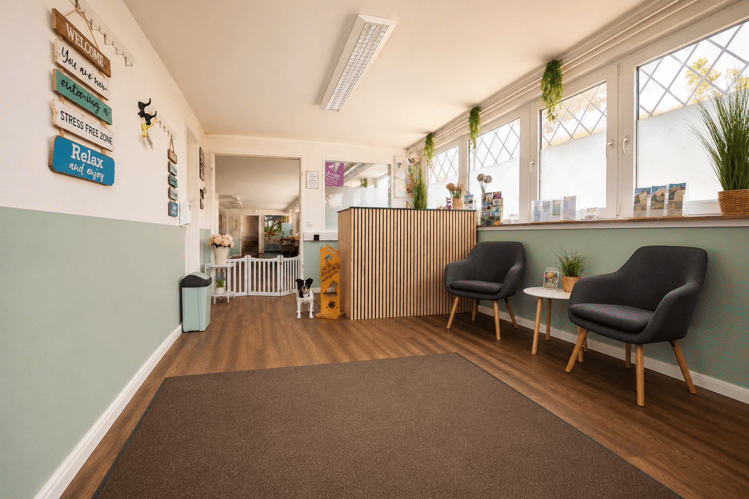 SHYVA Empfang Schule Groomer Physio