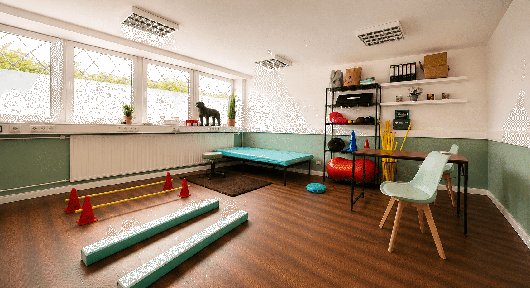 SHYVA Hundephysio