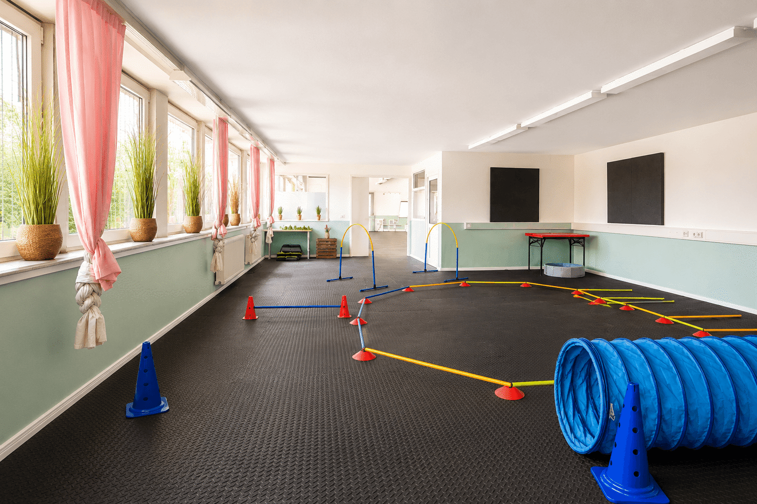 SHYVA Hundeschule Trainingshalle