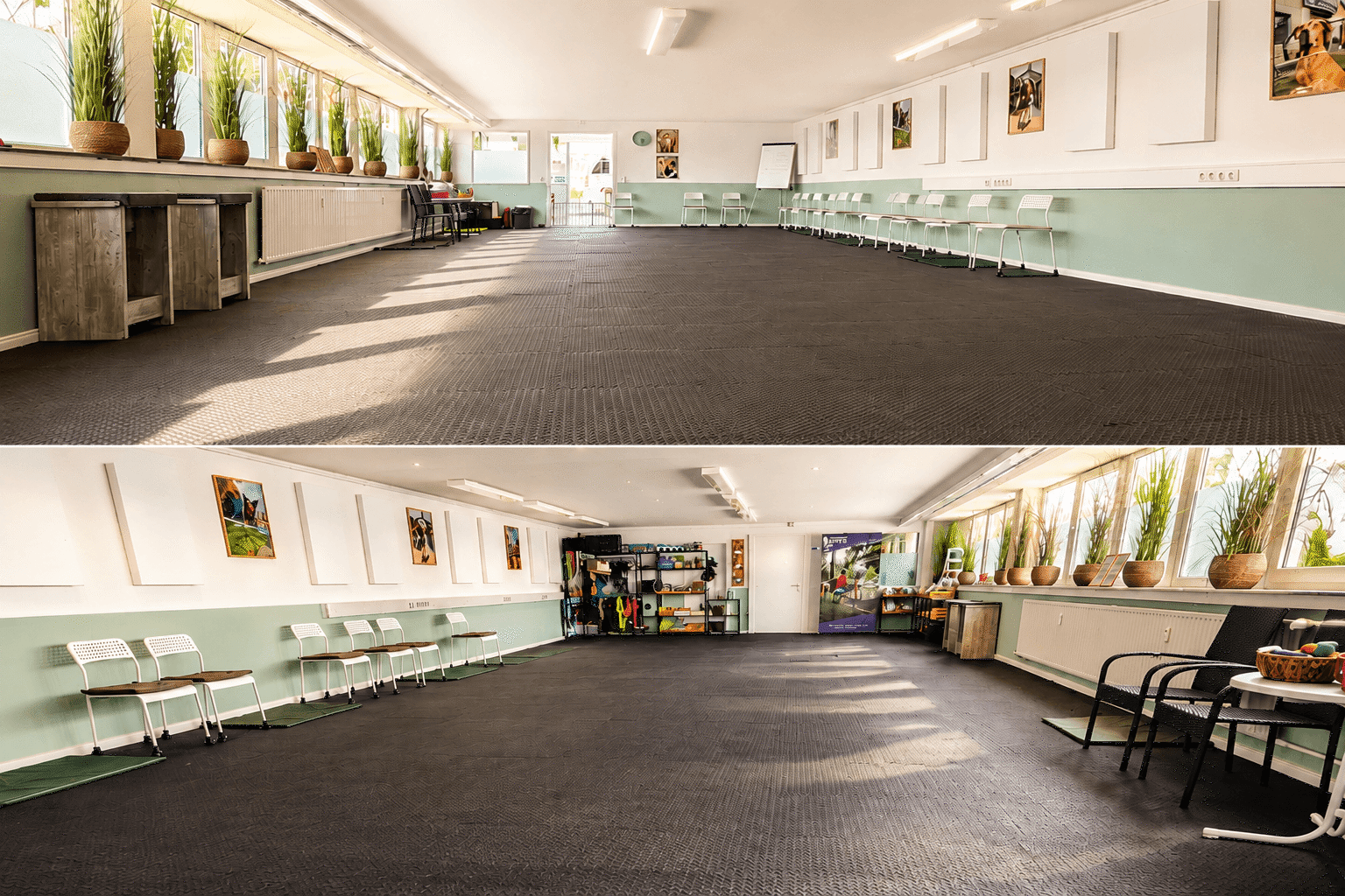 Trainingshalle Wedel Hundeschule SHYVA