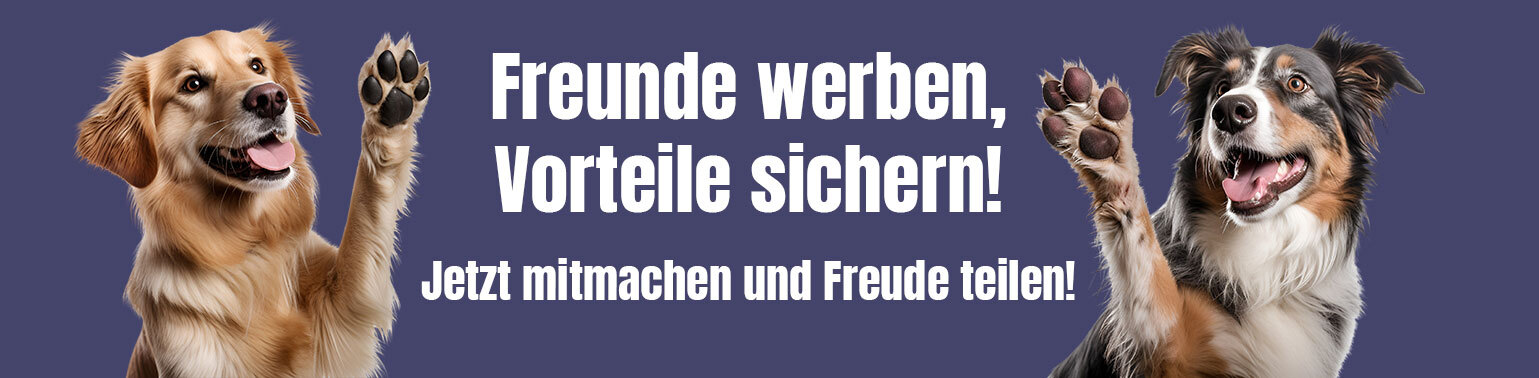 Shyva | Freunde werben, Vorteile sichern!