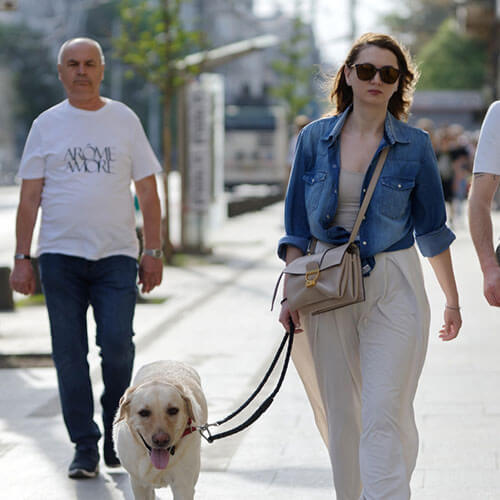 Shyva Hundeschule | Alltagshelden on Tour