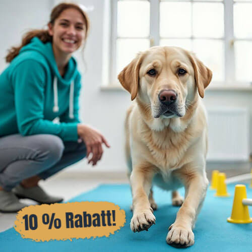 Nur im März und April: 10 % Rabatt auf Anamnese