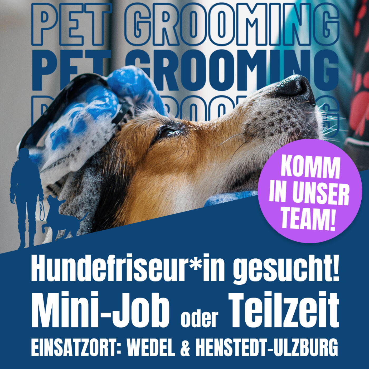 Hundefriseur*in