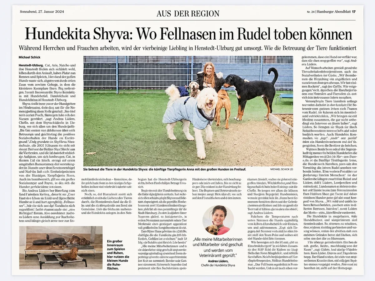 SHYVA | Presse - Hamburger Abendblatt Januar 2024